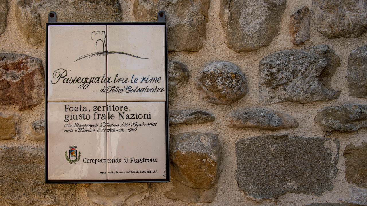 immagine principale tappa
